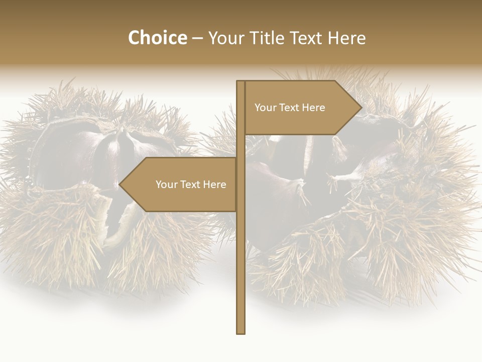 White Healthy Seeds PowerPoint Template