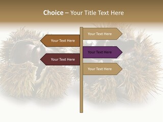 White Healthy Seeds PowerPoint Template