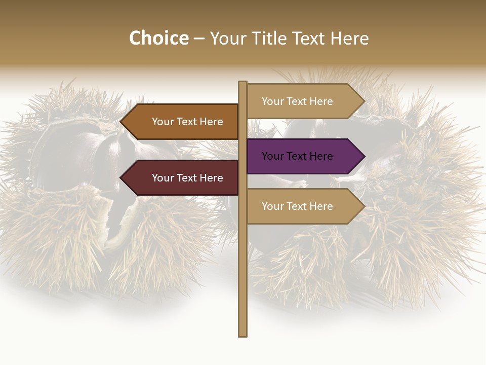 White Healthy Seeds PowerPoint Template