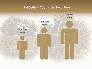 White Healthy Seeds PowerPoint Template