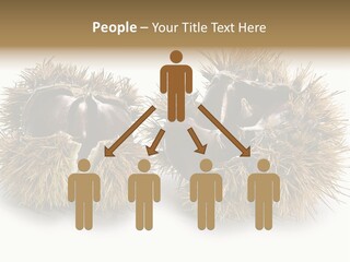 White Healthy Seeds PowerPoint Template