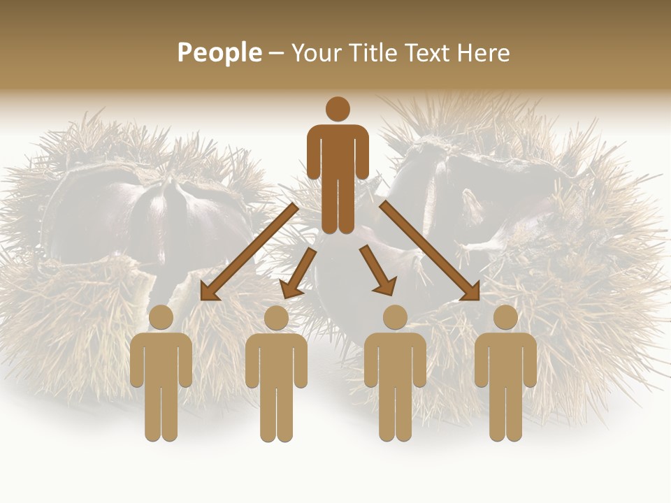 White Healthy Seeds PowerPoint Template