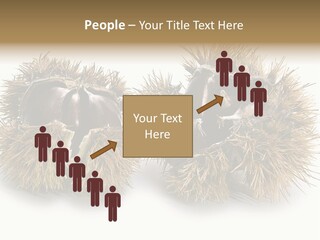 White Healthy Seeds PowerPoint Template