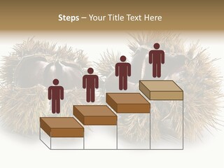 White Healthy Seeds PowerPoint Template