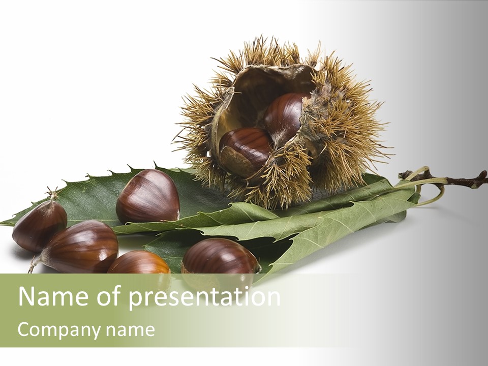 Autumn Brown Organic PowerPoint Template