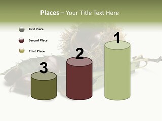 Autumn Brown Organic PowerPoint Template