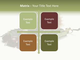 Autumn Brown Organic PowerPoint Template