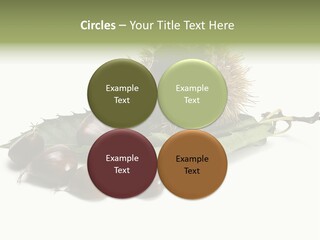 Autumn Brown Organic PowerPoint Template