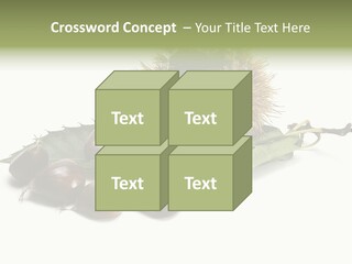 Autumn Brown Organic PowerPoint Template