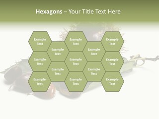 Autumn Brown Organic PowerPoint Template