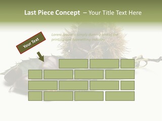 Autumn Brown Organic PowerPoint Template