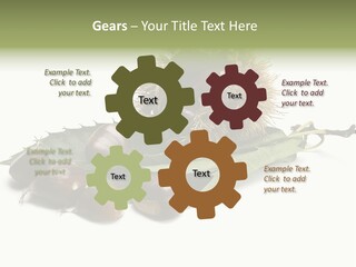 Autumn Brown Organic PowerPoint Template