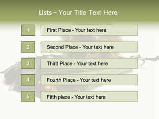 Autumn Brown Organic PowerPoint Template