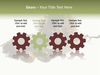 Autumn Brown Organic PowerPoint Template