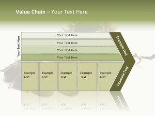 Autumn Brown Organic PowerPoint Template