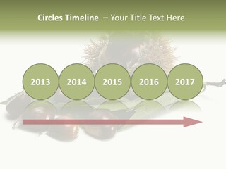 Autumn Brown Organic PowerPoint Template