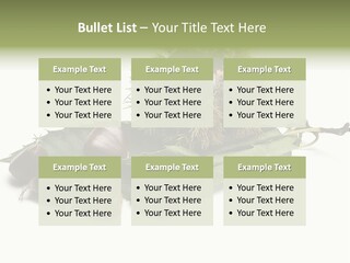 Autumn Brown Organic PowerPoint Template