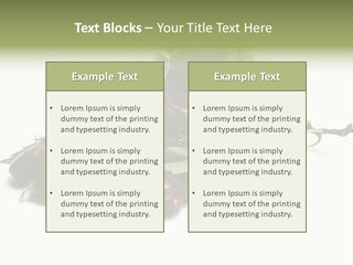 Autumn Brown Organic PowerPoint Template