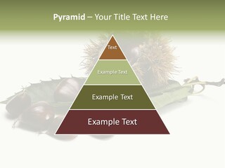 Autumn Brown Organic PowerPoint Template