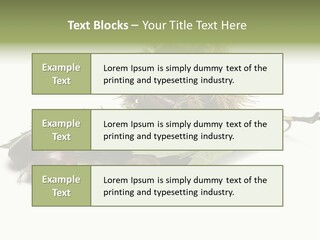 Autumn Brown Organic PowerPoint Template