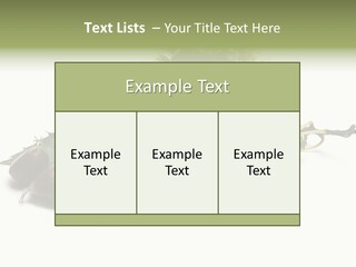 Autumn Brown Organic PowerPoint Template