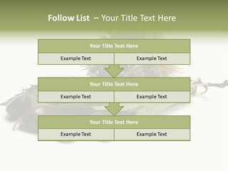 Autumn Brown Organic PowerPoint Template