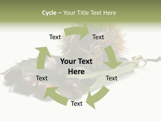 Autumn Brown Organic PowerPoint Template