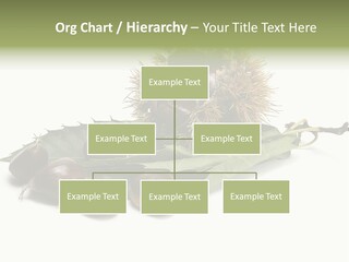 Autumn Brown Organic PowerPoint Template