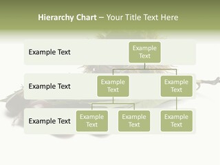 Autumn Brown Organic PowerPoint Template