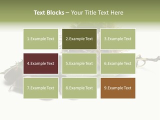 Autumn Brown Organic PowerPoint Template