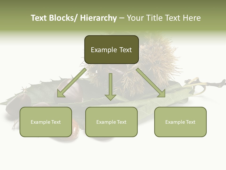 Autumn Brown Organic PowerPoint Template