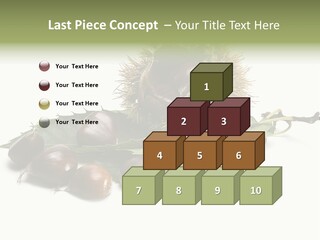 Autumn Brown Organic PowerPoint Template