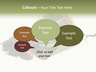 Autumn Brown Organic PowerPoint Template