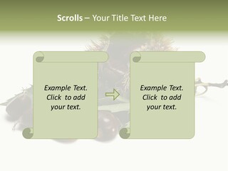 Autumn Brown Organic PowerPoint Template
