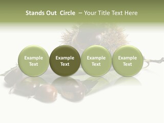 Autumn Brown Organic PowerPoint Template