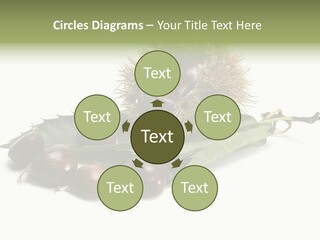 Autumn Brown Organic PowerPoint Template