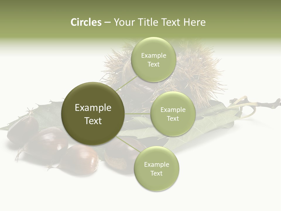 Autumn Brown Organic PowerPoint Template