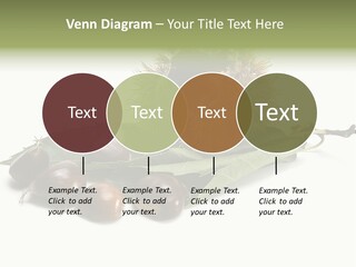 Autumn Brown Organic PowerPoint Template