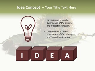 Autumn Brown Organic PowerPoint Template