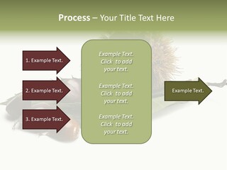 Autumn Brown Organic PowerPoint Template