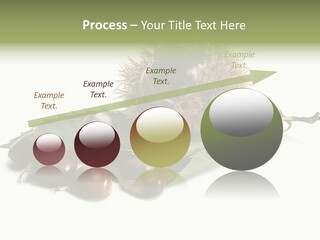 Autumn Brown Organic PowerPoint Template