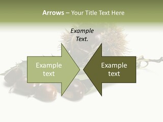 Autumn Brown Organic PowerPoint Template