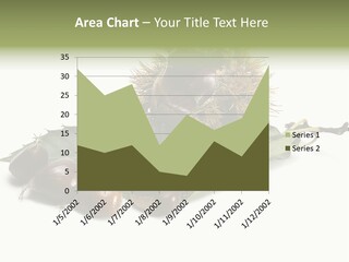 Autumn Brown Organic PowerPoint Template