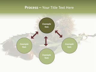 Autumn Brown Organic PowerPoint Template