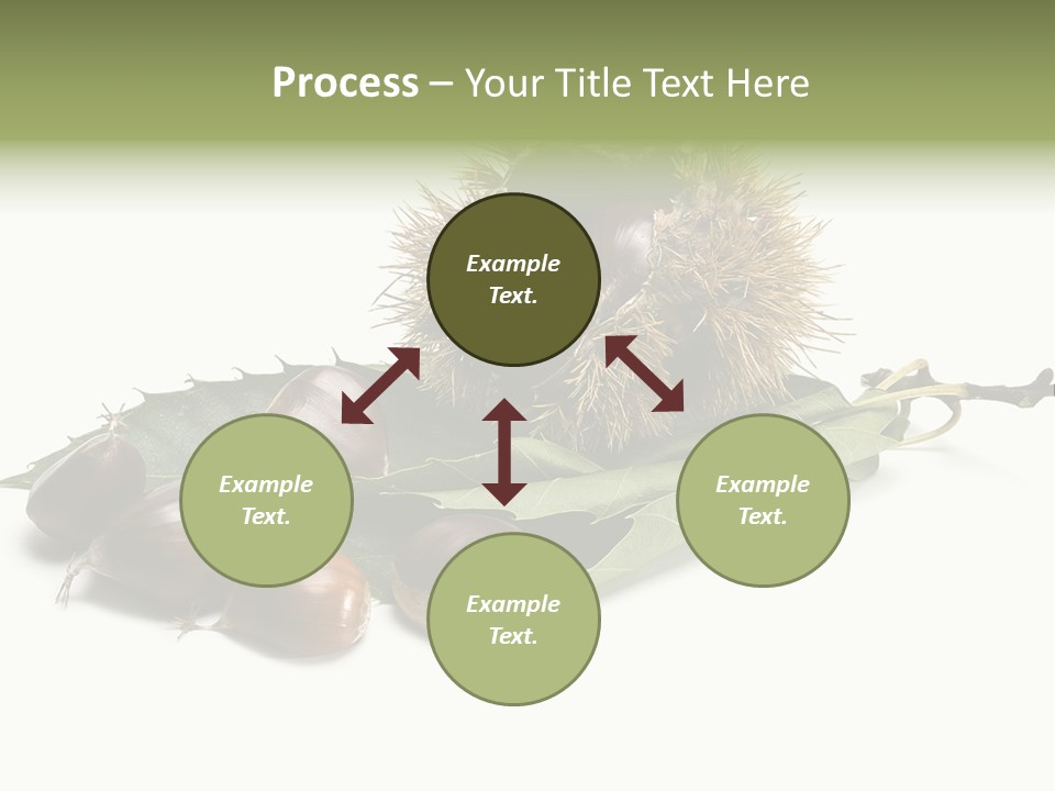 Autumn Brown Organic PowerPoint Template