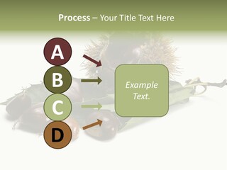 Autumn Brown Organic PowerPoint Template