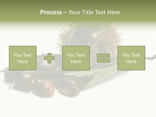 Autumn Brown Organic PowerPoint Template