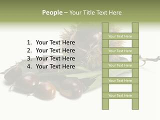 Autumn Brown Organic PowerPoint Template