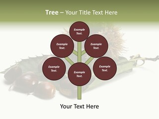 Autumn Brown Organic PowerPoint Template