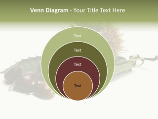 Autumn Brown Organic PowerPoint Template